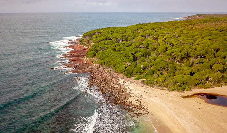 Aerial view of headland, ocean and eucalypt trees near Saltwater campground. Photo: John Spencer/DPIE