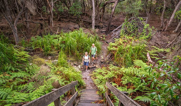 Bushwalkers on a section of the Light to Light walk, near Bittangabee campground. Photo: John Spencer/DPIE