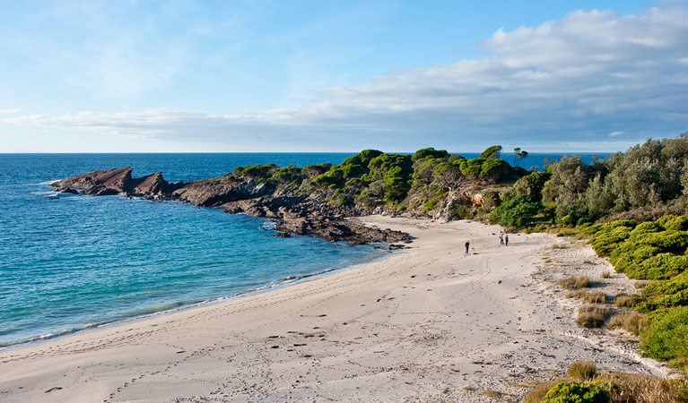 Light to Light walk, Beowa National Park. Photo: Michael van Ewijk &copy; OEH