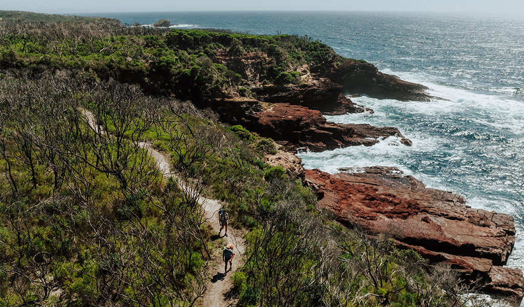 Hikers walking past Sea Caves, a rock formation along the Light to Light Walk. Credit: Daniel Parsons/DCCEEW &copy; Daniel Parsons