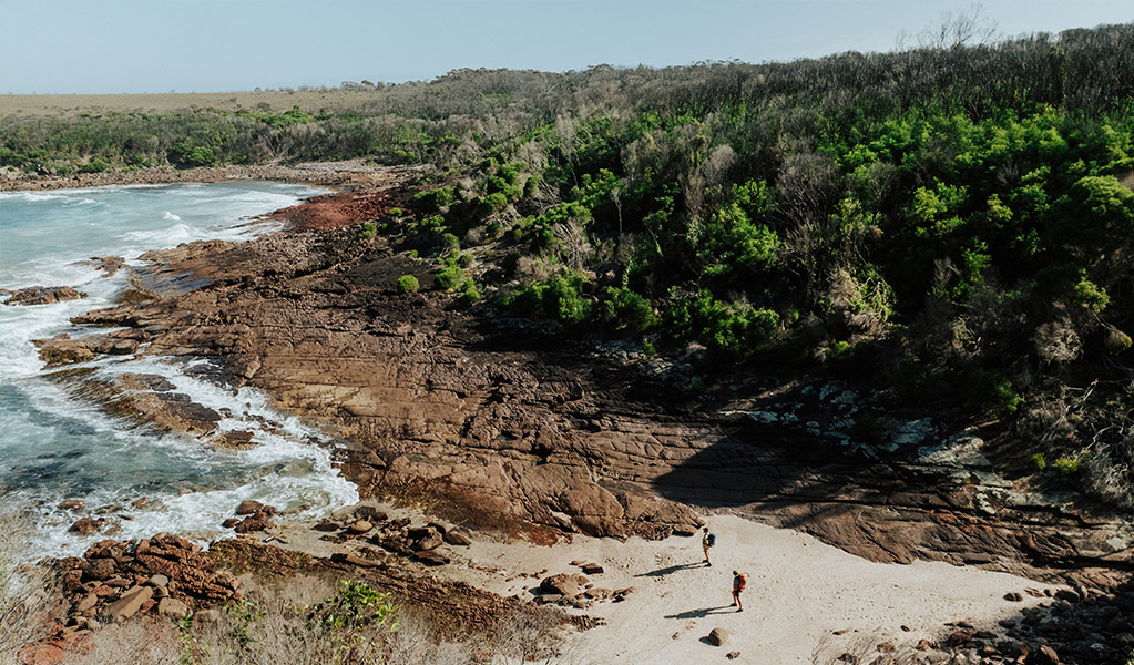 Hikers admiring ocean views from the sands of Hegartys Bay in Beowa National Park. Credit: Daniel Parsons/DCCEEW © Daniel Parsons