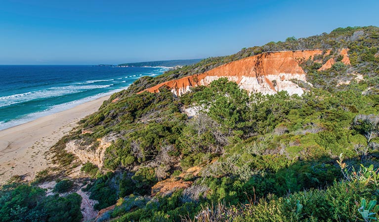 The Pinnacles formation in Beowa National Park. Photo: John Spencer/DPIE