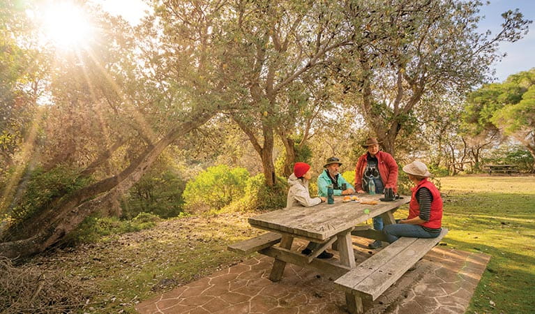 Friends sitting on picnic tables at Haycock Point picnic area. Photo: John Spencer/DPIE