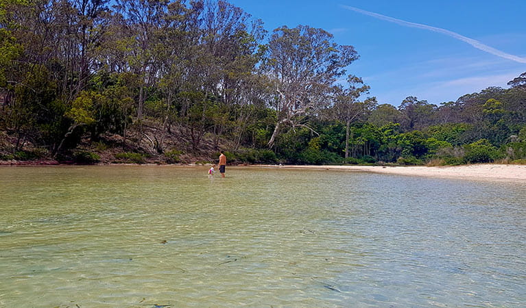 Father and child wading in the  shallow water at Severs Beach. Photo: Amanda Cutlack/DPIE