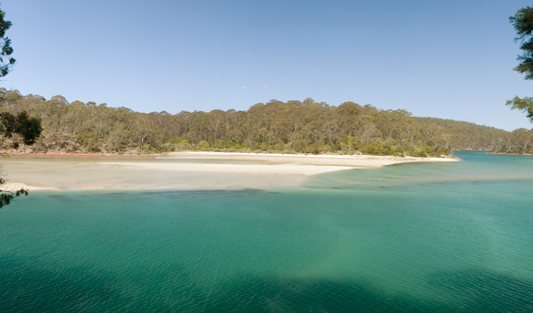 Pambula River walking track, Beowa National Park. Photo: Michael van Ewijk &copy; OEH