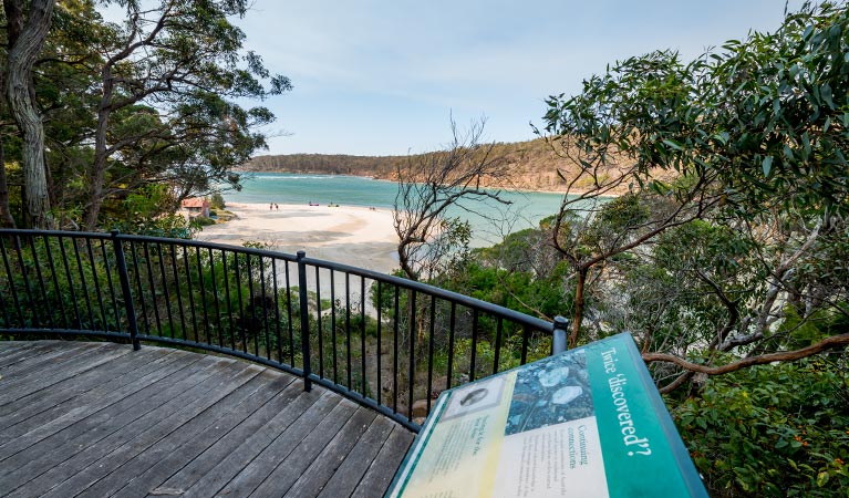 Pambula River walking track, Beowa National Park. Photo: John Spencer &copy; OEH