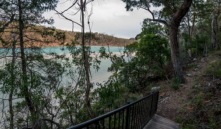 Pambula River walking track, Beowa National Park. Photo: John Spencer &copy; OEH