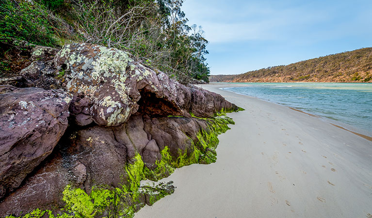 Pambula River walking track, Beowa National Park. Photo: John Spencer &copy; OEH