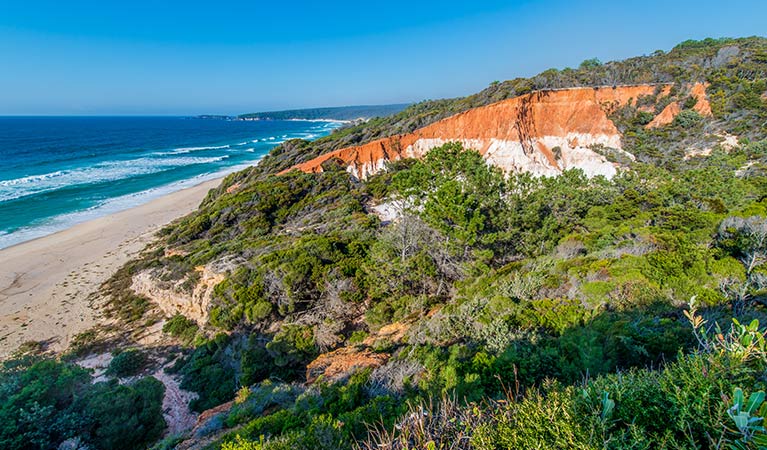 Pinnacles lookout and rock formations in Beowa National Park. Photo: John Spencer &copy; OEH