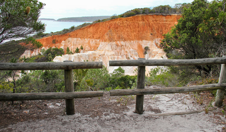 Pinnacles loop walking track, Beowa National Park. Photo: John Yurasek &copy; OEH