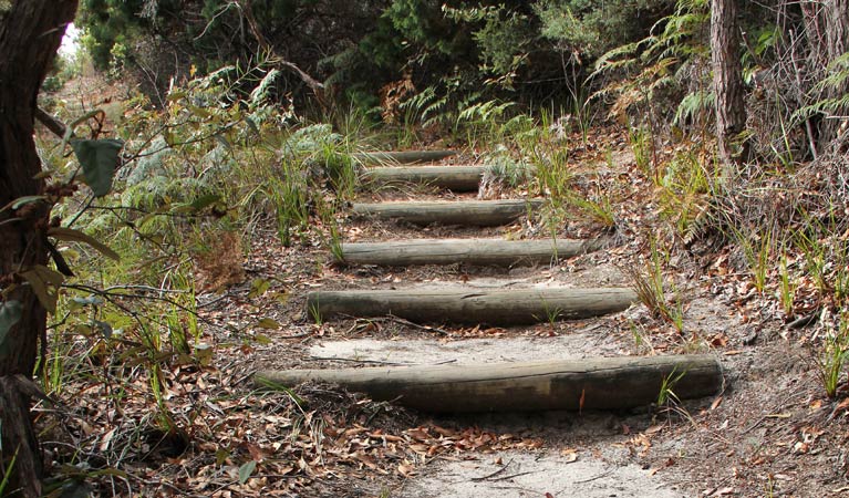 Pinnacles loop walking track, Beowa National Park. Photo: John Yurasek &copy; OEH