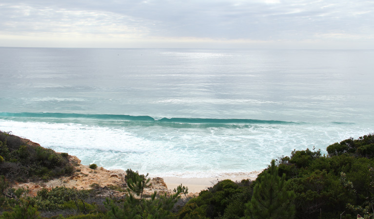 Pinnacles loop walking track, Beowa National Park. Photo: John Yurasek &copy; OEH