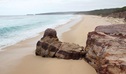 View down Long Beach showing rock formations, dunes, cliffs and coastal bushland in Beowa National Park. Photo: John Yurasek &copy; DPIE