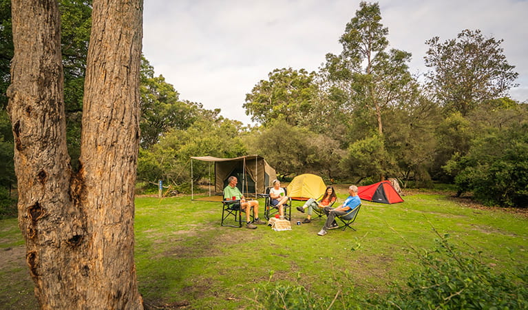 Group camping at Saltwater Creek campground, Beowa National Park. Photo: John Spencer/OEH