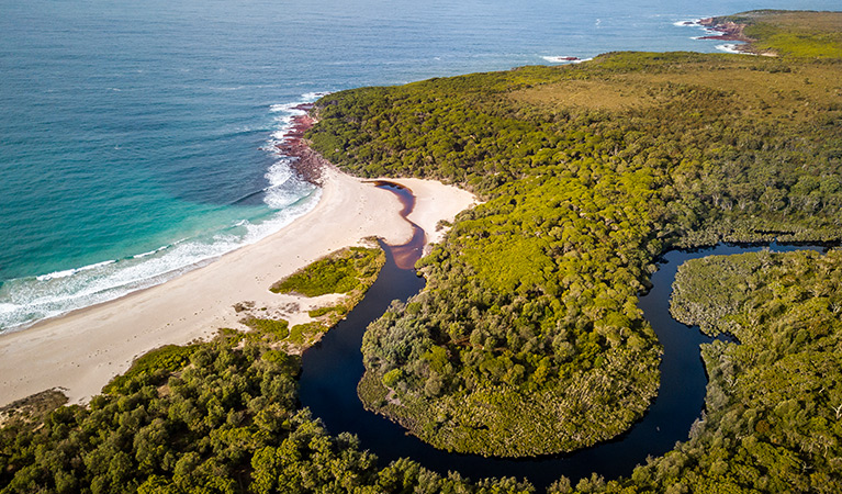 Aerial view of Woodburn Creek at Saltwater Creek campground, Beowa National Park. Photo: John Spencer/OEH