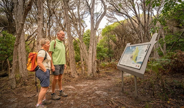 Two walkers reading an interpretive sign along the Light to Light walk in Beowa National Park. Photo: John Spencer &copy; OEH