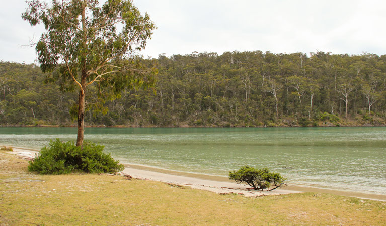 Severs Beach, Beowa National Park. Photo: John Yurasek