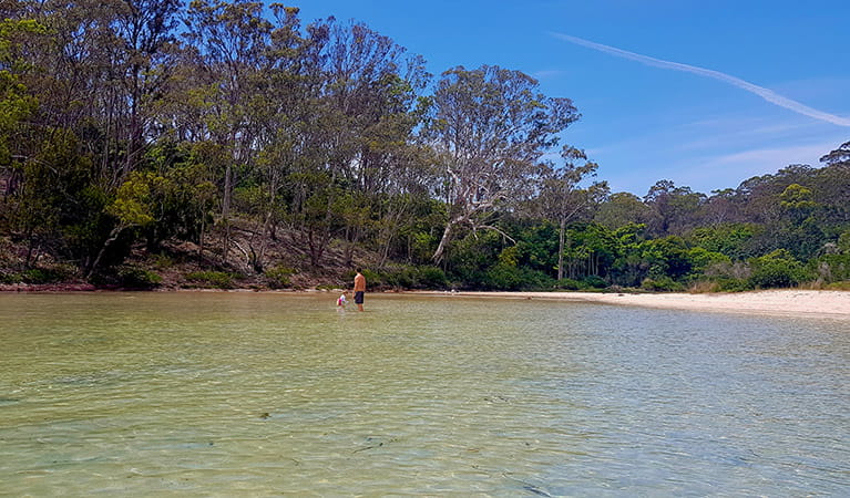 Father and toddler wading in the shallow water of Severs Beach in Beowa National Park. Photo &copy; Amanda Cutlack