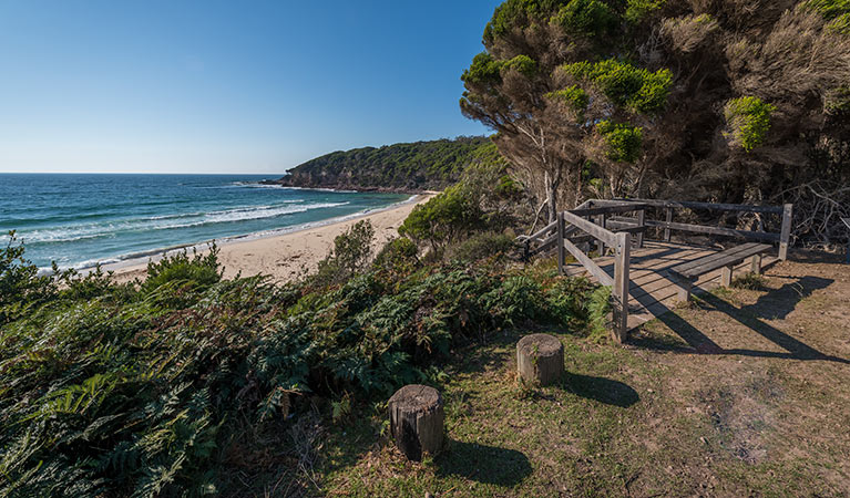 Terrace Beach and Lennards Island, Beowa National Park. Photo: John Spencer &copy; OEH