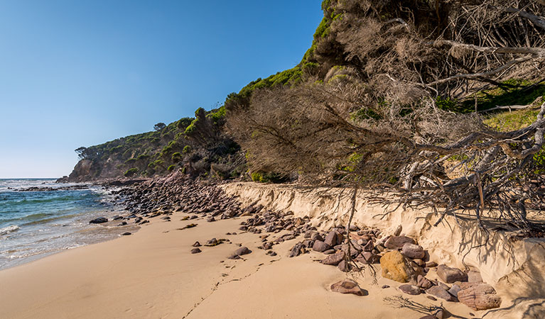 Terrace Beach and Lennards Island, Beowa National Park. Photo: John Spencer &copy; OEH