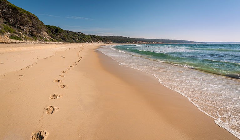 Terrace Beach and Lennards Island, Beowa National Park. Photo: John Spencer &copy; OEH