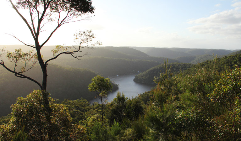 View over Berowra Valley from Barnetts lookout. Photo: John Yurasek &copy; DPIE