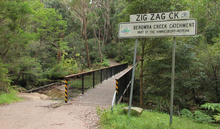 Bellamy fire trail zig zag creek, Berowra Valley Regional Park. Photo: John Yurasek &copy; OEH