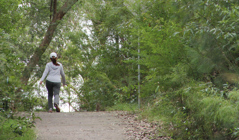 Walker on the Bellamy fire trail. Photo: John Yurasek &copy; OEH