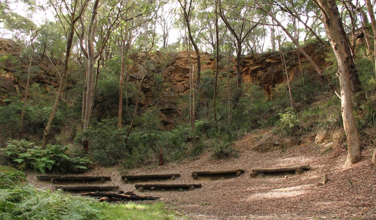 Old railway sleepers beside the Bellamy fire trail. Photo: John Yurasek &copy; OEH