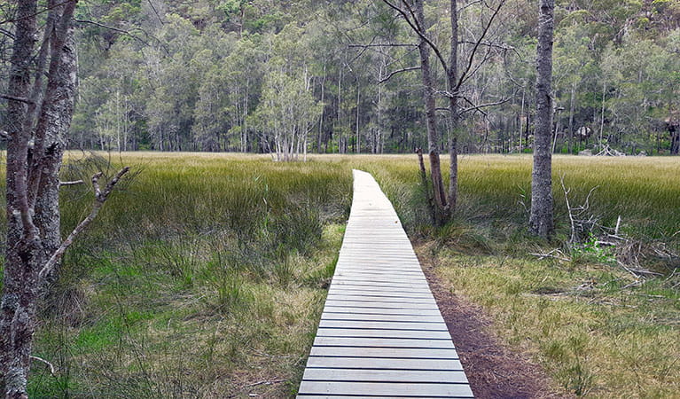 A boardwalk with salt marsh on either side along Lyrebird Gully track in Berowra Valley National Park. Photo: Jennifer Roberts &copy; DPIE
