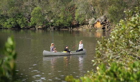 Berowra creek, Berowra Valley National Park. Photo: John Yurasek