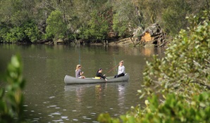 Berowra creek, Berowra Valley National Park. Photo: John Yurasek