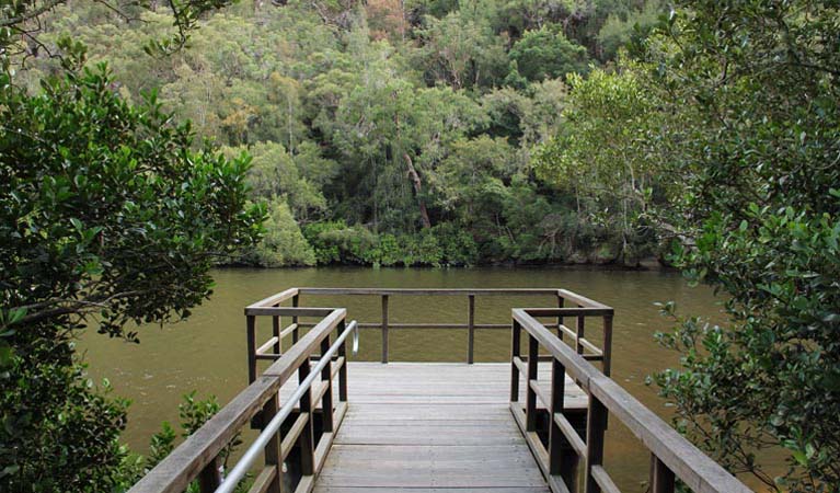 Walkway and Berowra Creek. Photo: John Yurasek