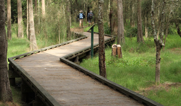 Place of Winds walk, Berowra Valley National Park. Photo: John Yurasek &copy; OEH