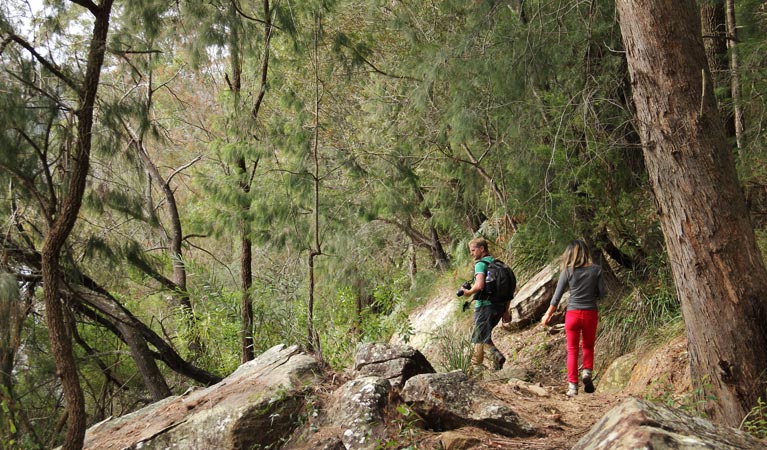 People walking on Place of Winds walk in Berowra Valley National Park. Photo: John Yurasek