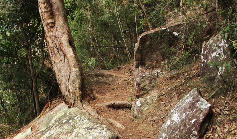 Dirt track on Place of Winds walk. Photo: John Yurasek &copy; OEH