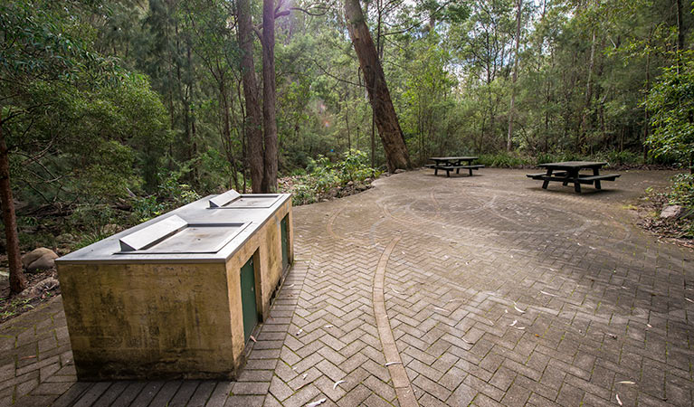 Biamanga Cultural area, Biamanga National Park. Photo: John Spencer/NSW Government