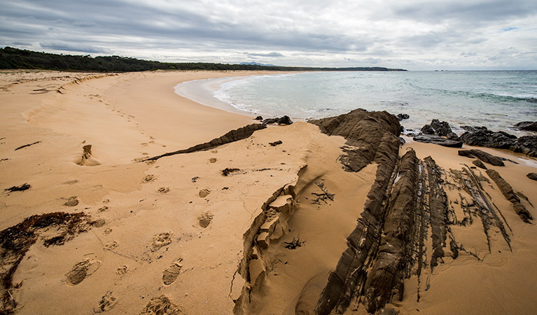 Biamanga National Park. Photo: John Spencer/OEH