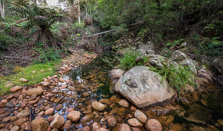 Biamanga National Park. Photo: John Spencer/OEH