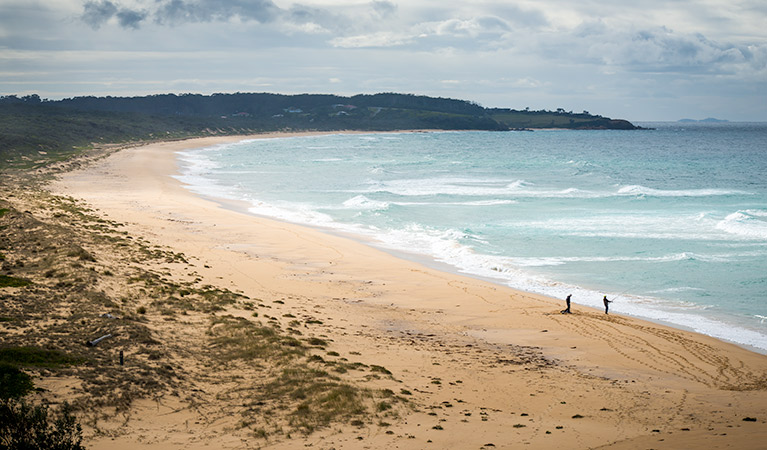 Biamanga National Park. Photo: John Spencer/OEH