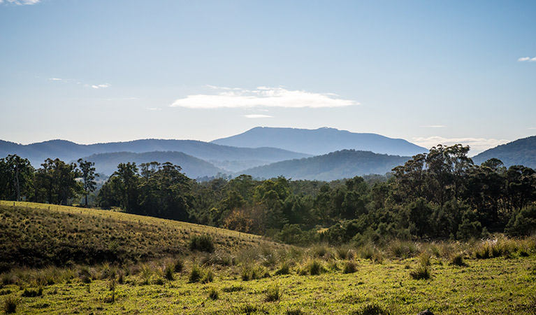 Biamanga National Park. Photo: John Spencer/OEH