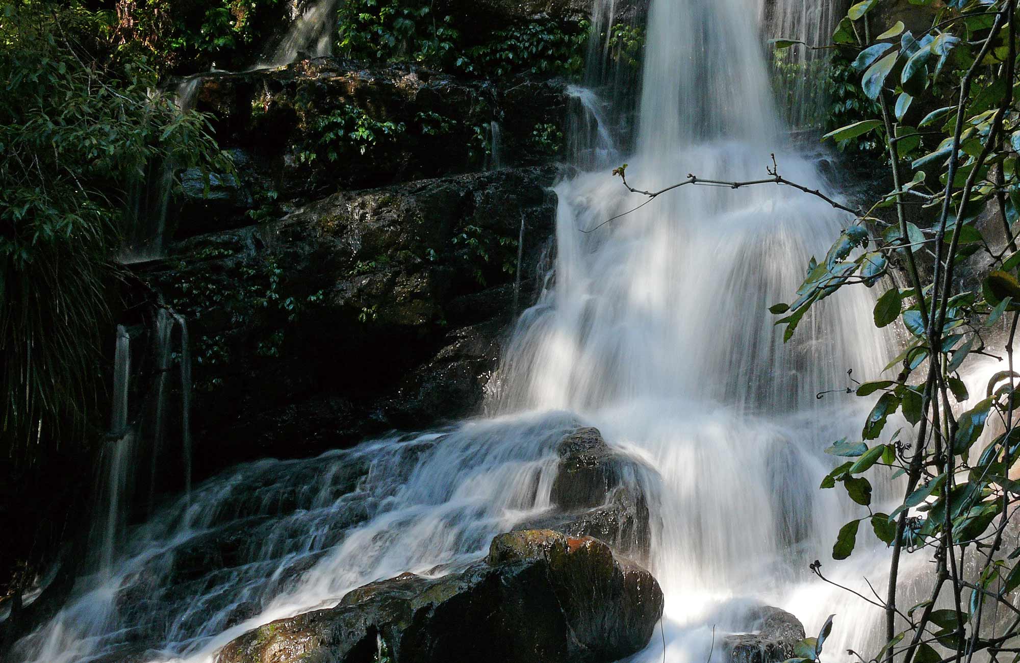 Bangalore Falls, Bindarri National Park. Photo: Helen Clark/NSW Government