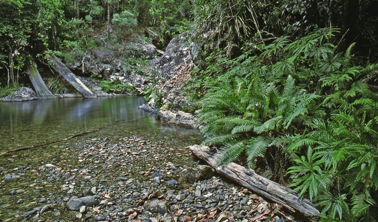 Bindarri picnic area, Bindarri National Park. Photo: Shane Ruming