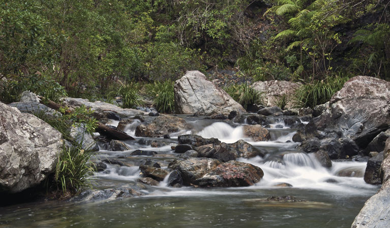 Urumbilum River, Bindarri National Park. Photo: Shane Ruming