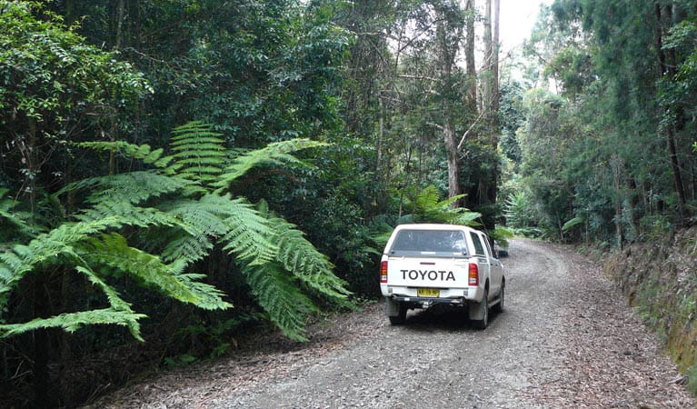 Range Road, Bindarri National Park. Photo: Barbara Webster/NSW Government