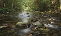 Urumbilum River, Bindarri National Park. Photo: Shane Ruming