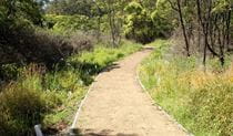 Heritage walking track, Blue Gum Hills Regional Park. Photo: John Yurasek &copy; OEH