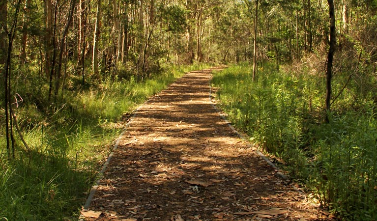 Heritage walking track, Blue Gum Hills Regional Park. Photo: John Yurasek &copy; OEH