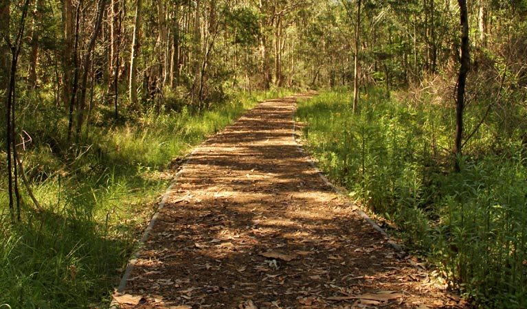 Heritage walking track, Blue Gum Hills Regional Park. Photo: John Yurasek &copy; OEH