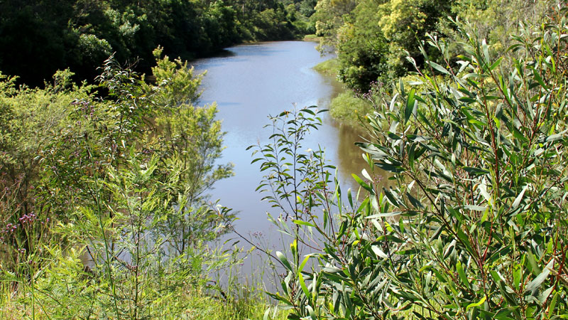 A creek along the Heritage walking track, Blue Gum Hills Regional Park. Photo: John Yurasek &copy; OEH